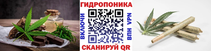 Cannafood конопля  Томск 