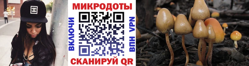 ОМГ ОМГ вход  Томск  Псилоцибиновые грибы Magic Shrooms 